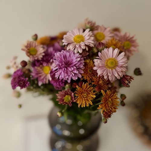 Photo #13854039