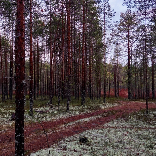 Photo #13854127