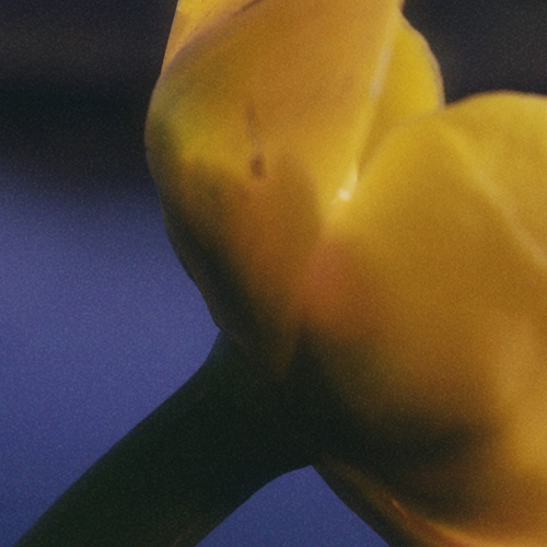 Photo #13854152