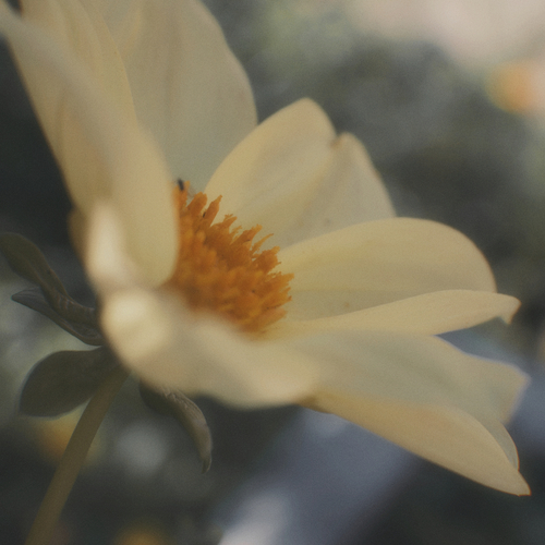 Photo #13854153