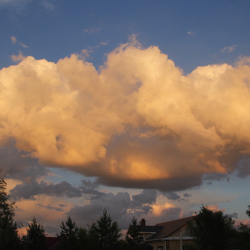 Photo #13854211