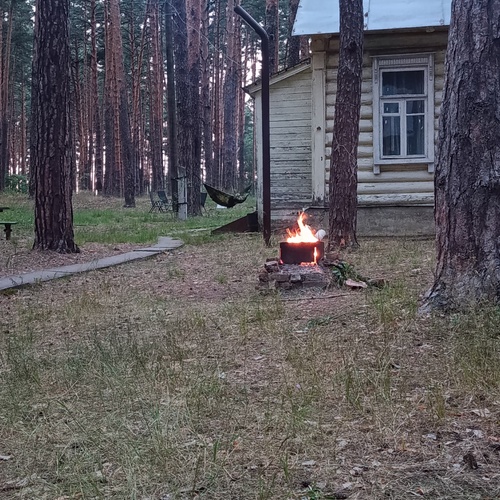 Photo #13854282