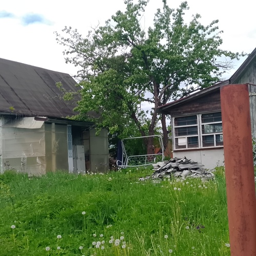 Photo #13854311