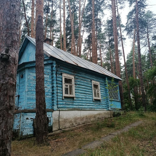 Photo #13854357