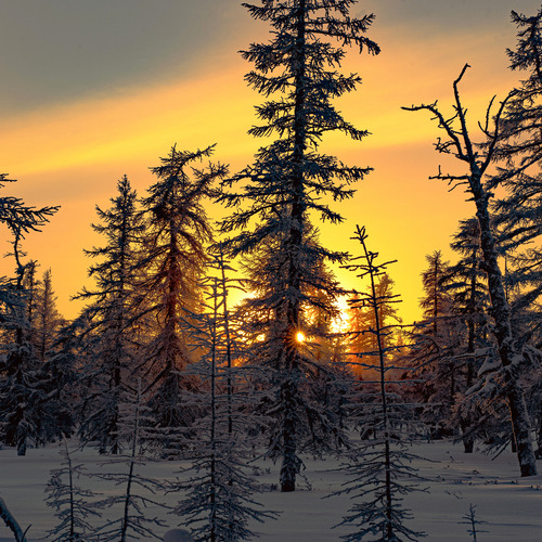 Photo #13854361