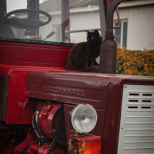 Photo #13854409