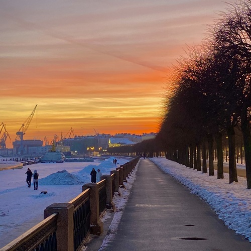Photo #13854478