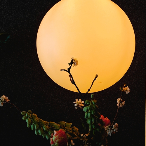 Photo #13854503