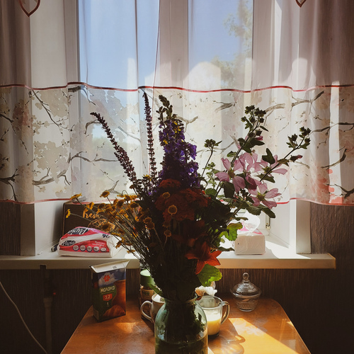 Photo #13854538