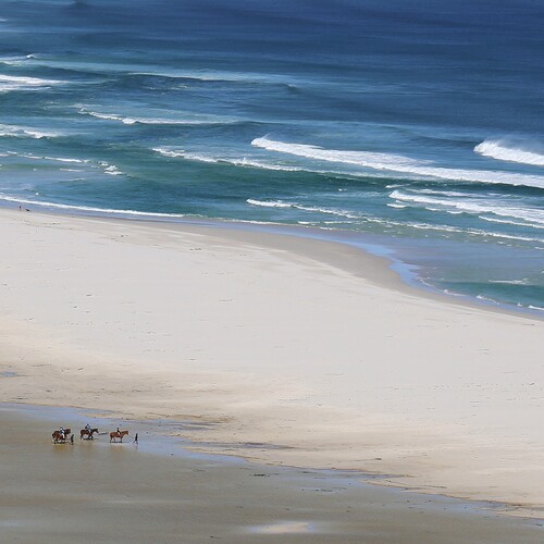Photo #13854547