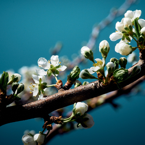 Photo #13854628