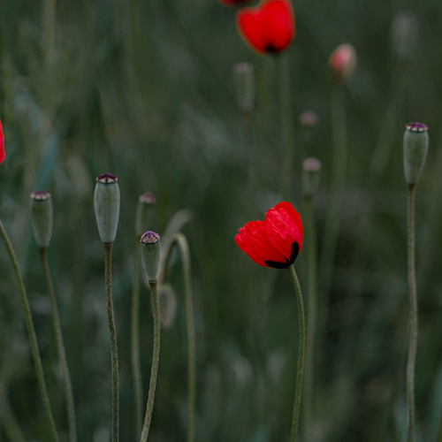 Photo #13854687