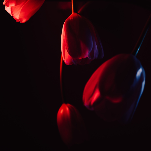 Photo #13854762