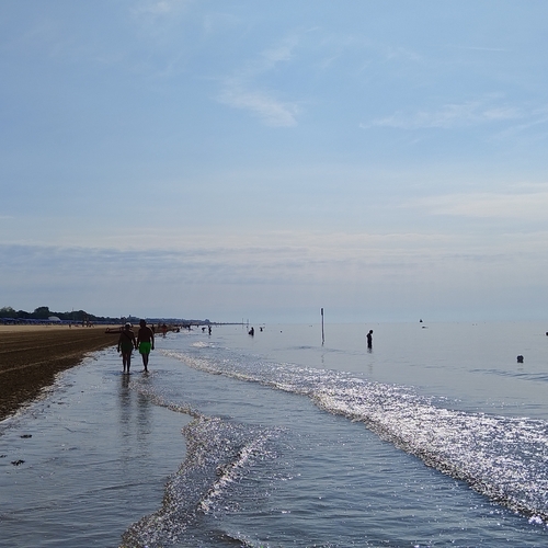 Photo #13854826