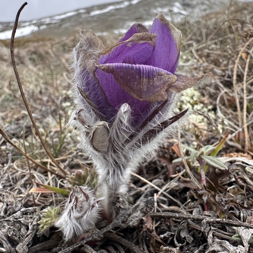 Photo #13855009