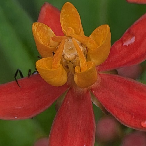 Photo #13855010