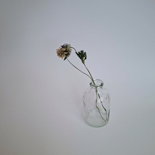 Photo #13855207