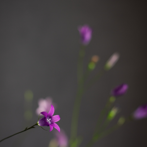 Photo #13855218
