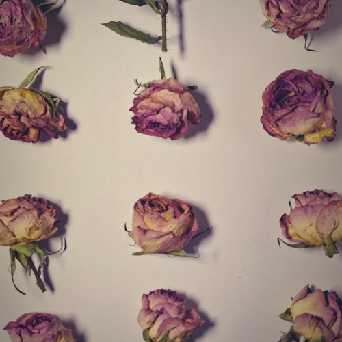 Photo #13855233