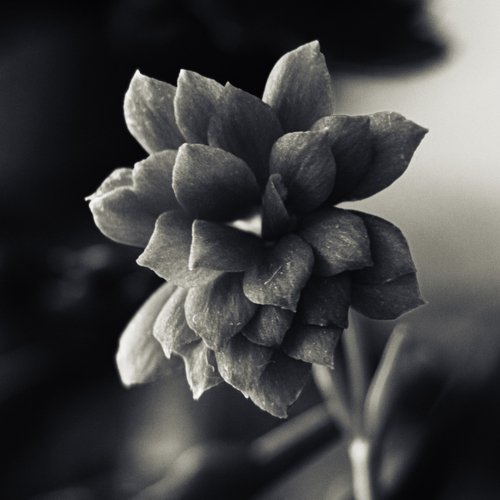 Photo #13855246