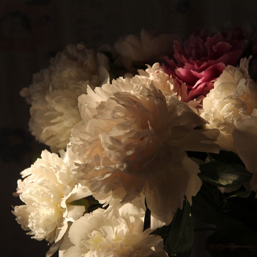 Photo #13855256