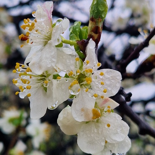 Photo #13855424