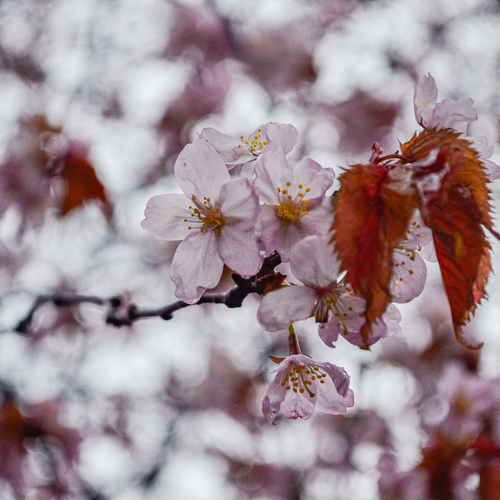 Photo #13855427