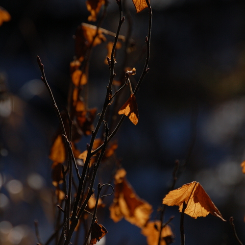 Photo #13855457