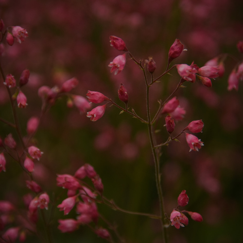 Photo #13855476