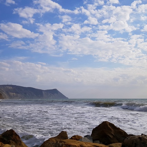 Photo #13855549
