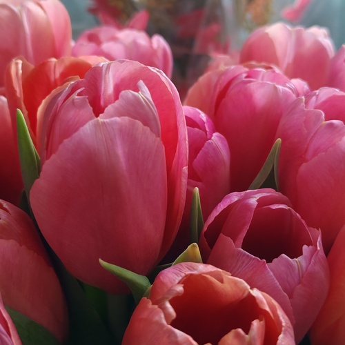 Photo #13855592