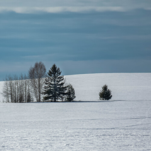 Photo #13855605