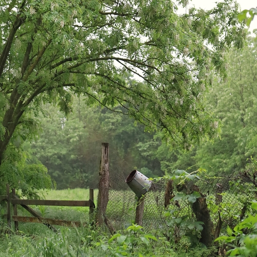 Photo #13855635