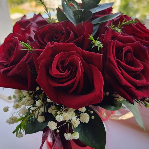 Photo #13855671