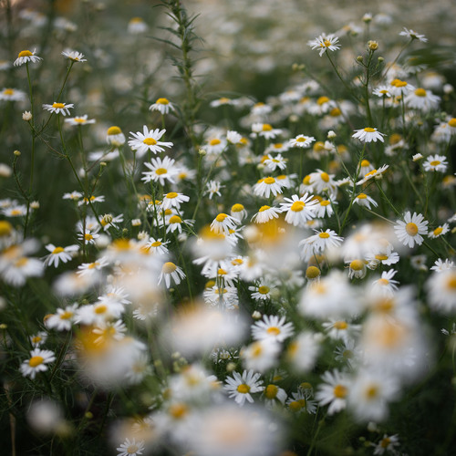 Photo #13855692