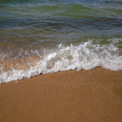 Photo #13855726