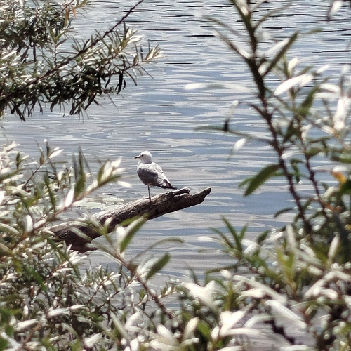 Photo #13855729