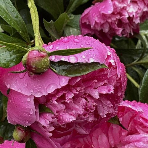 Photo #13855759