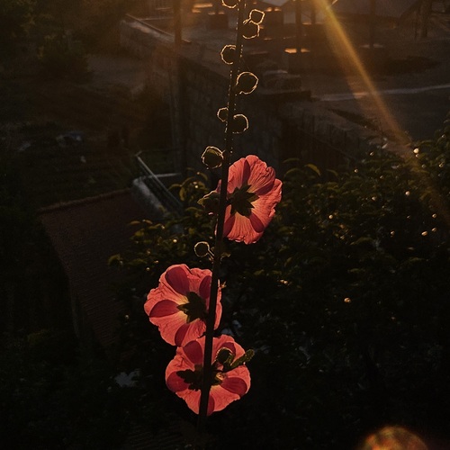 Photo #13855764