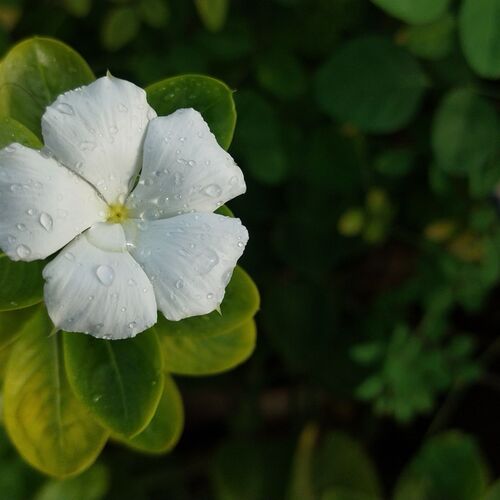 Photo #13855810