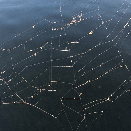 Photo #13855818