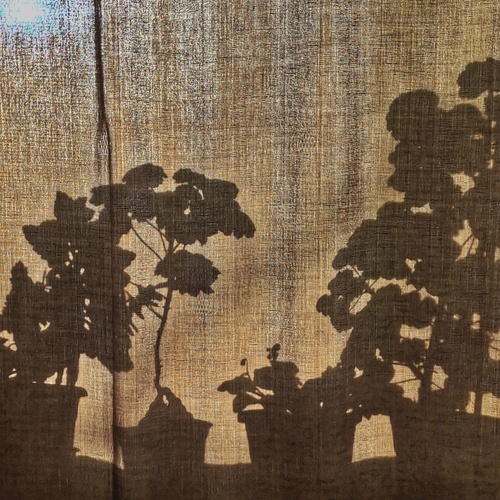 Photo #13855841