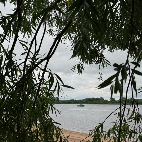 Photo #13855854