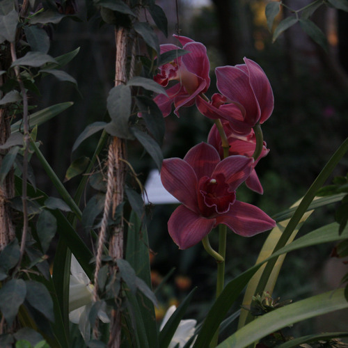 Photo #13855887