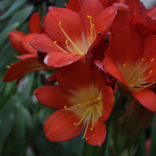Photo #13855889