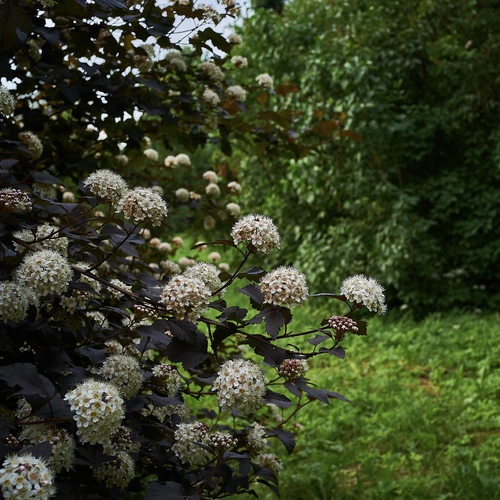 Photo #13855927
