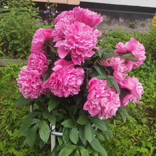 Photo #13855964