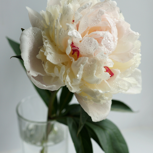 Photo #13856037