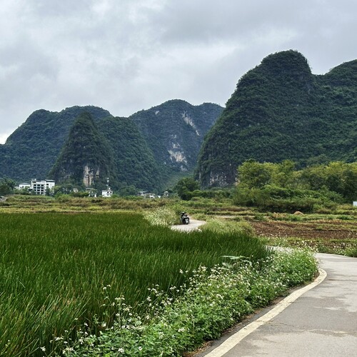 Photo #13856044