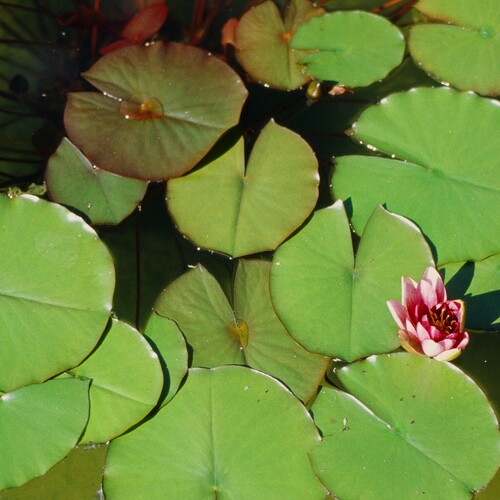 Photo #13856108